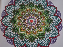 whatsapp bild 2025-04-12 um 11.10.46_22c5832b